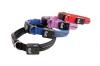 4 colliers lumineux pour chien