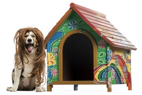 Niche pour chien : modèles, utilités, tarifs Niche pour chien : modèles, utilités, tarifs