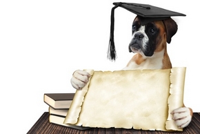 Diplome