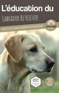 L'éducation du Labrador Retriever