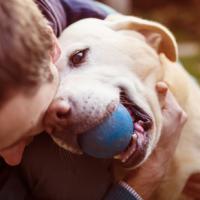 Activité de jeux avec son chien