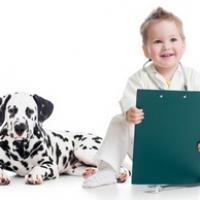 Chiot Dalmatien avec un enfant