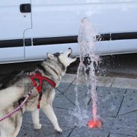 Farouk et la fontaine à eau !