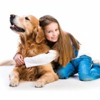 Golden retriever avec une petite fille