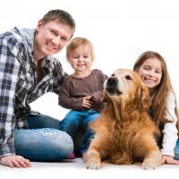 Golden retriever et sa famille