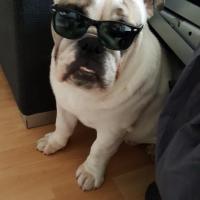 Maurice avec ses lunettes de soleil