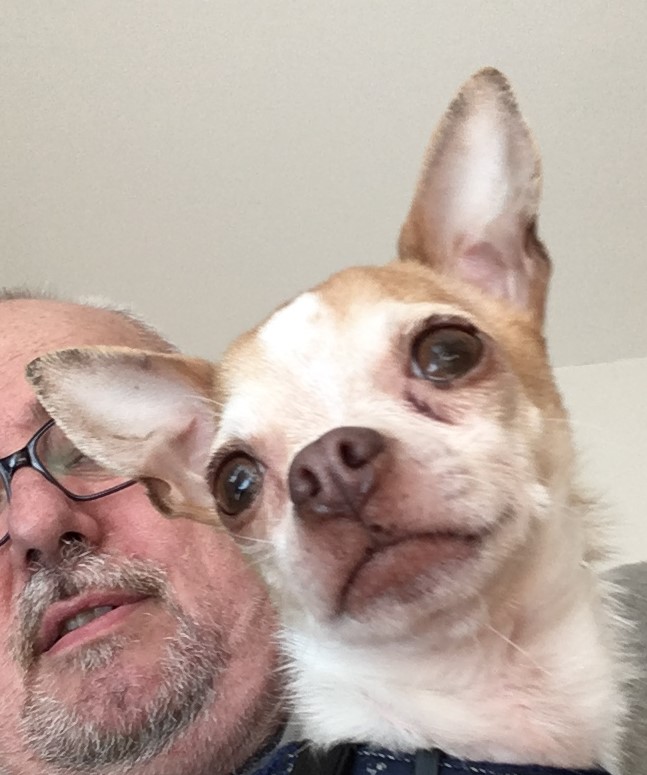 Rotchild dit Roxy 5ans, le Chihuahua de Didier