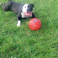 Zango avec son gros ballon rouge