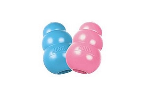 2 jouets kong pour chien