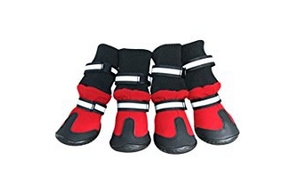 2 paires de chaussures pour chien