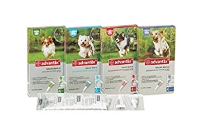 4 boites de advantix pour chien