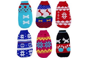 6 pulls pour chien