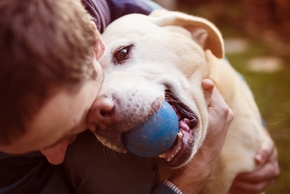 Activite de jeux avec son chien