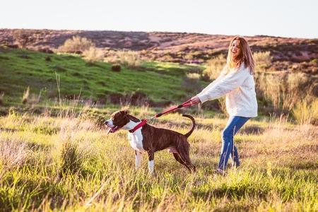 American staffordshire terrier laisse maitresse nature adobestock 329285691