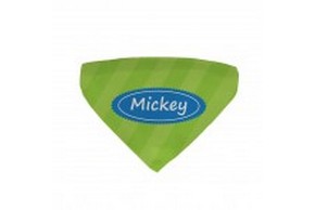 Bandana vert pour chien personnalise