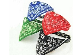 Bandanas pour chien
