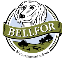 Tout savoir sur les croquettes Bellfor pour chien