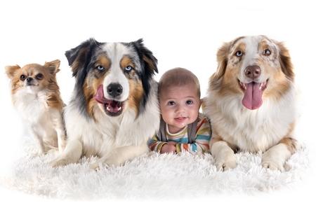 Votre Chien Est Jaloux Comment Y Remedier