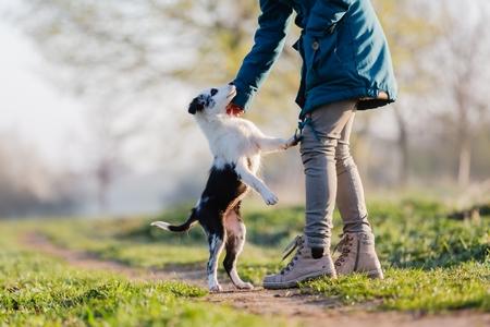 Mon chien saute sur les gens : comment réagir ?