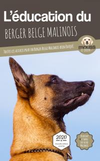 L'éducation du Berger Belge Malinois