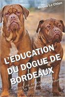 L'éducation du chien