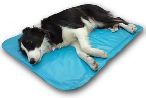 Tapis rafraîchissant pour chien : utilité, tarif, etc.