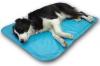 Border collie sur un tapis rafraichissant