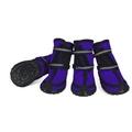 Bottes de protection pour chien dociote