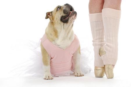 Obérythmée : intérêt, races, apprentissage, où pratiquer