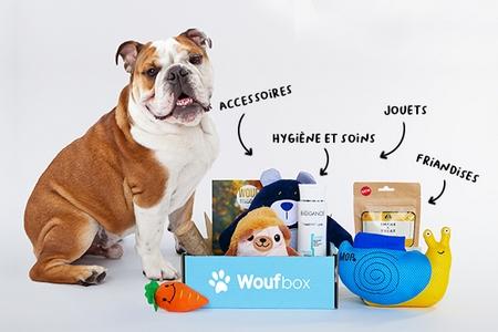 Bouledogue anglais woufbox