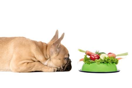 Croquettes pour chien bio : avantages, inconvénient et prix