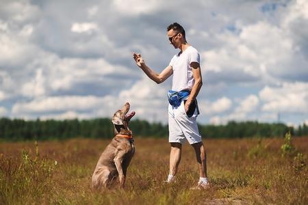 Comment apprendre « Assis » à son chien ?