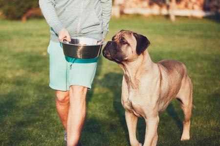 Comment bien nourrir son chien ? Infos et conseils santé