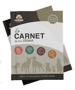 Carnet de santé chien