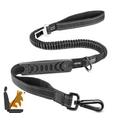 Ceinture de securite pour chien oasser