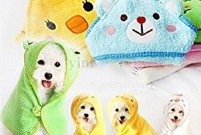 Chien avec des serviettes
