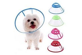 Collerette ou carcan pour chien : rôles, utilisations, prix