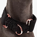 Chien chien jewel collier martingale 1154 collier