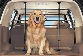 USAMS Filet de sécurité de voiture pour chien Taille universelle 120 x 70 cm 