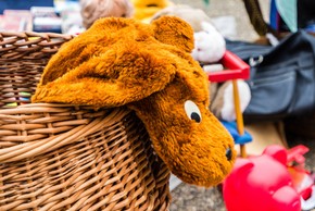 Chien dans un coffre a jouets