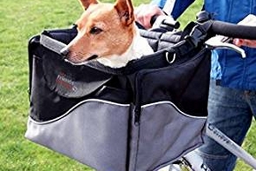 Chien dans un panier a velo