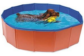 Piscine pour chien : Rôle, avantages, prix, etc.