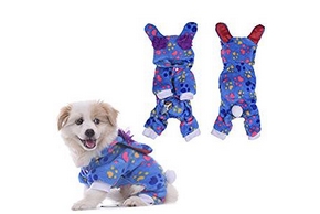 Chien en pyjama