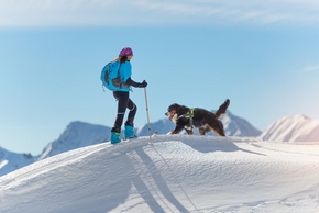 Chien et maitre sauveteur en montagne