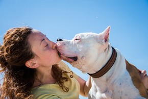 Chien qui fait un bisou