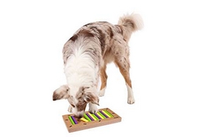 Chien qui joue a un jeu de reflexion