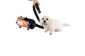 Chien qui se fait secher avec un sechoir pour chien