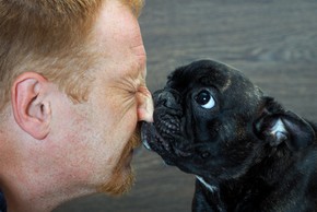 Chien qui touche le nez de son maitre