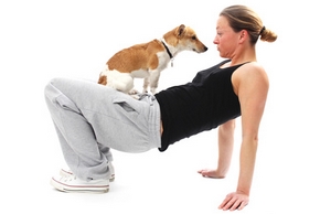 Chien sport
