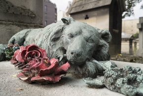 Chien sur une tombe